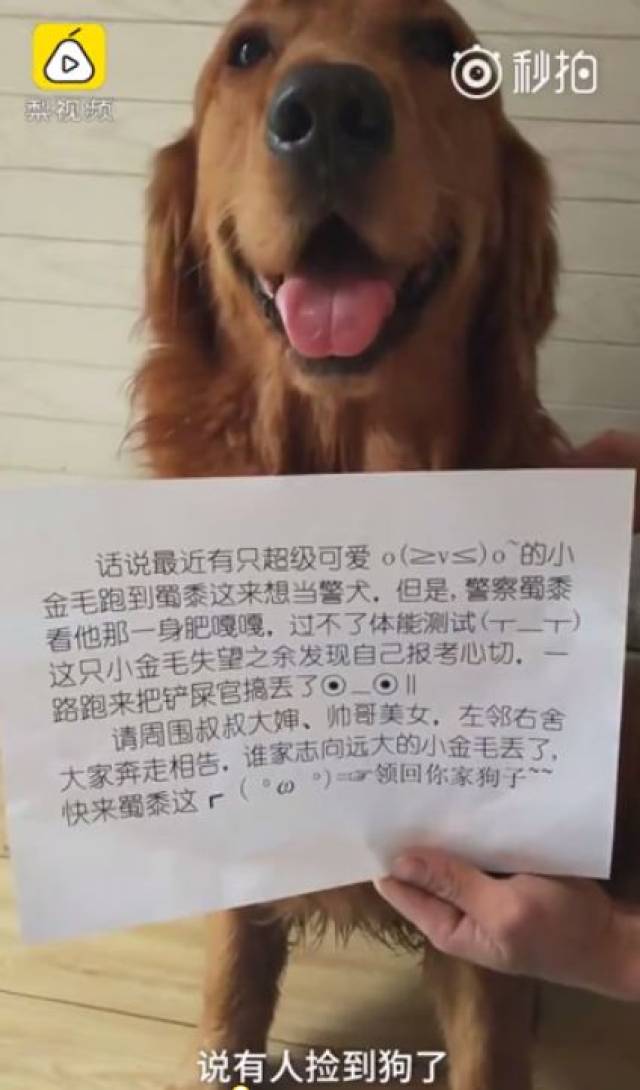 不过只有我注意到了"发情期"三个字么,看来走丢的原因很明朗了