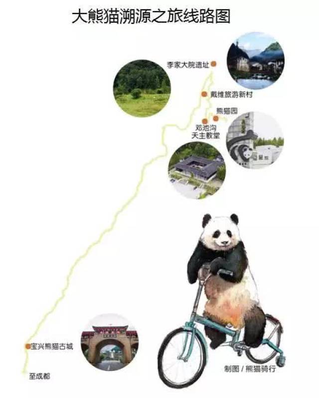 大熊猫寻踪之旅,绵阳平武偶遇机率最大