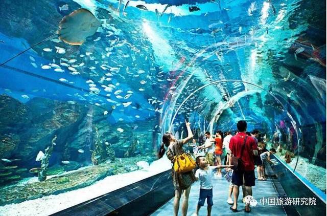 唐晓云:大力发展海洋旅游的时机已经到来