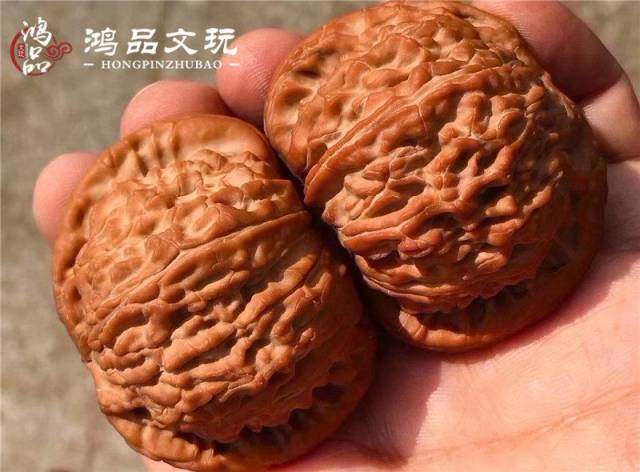 文玩核桃排名,2018年最受欢迎的五个文玩核桃品种