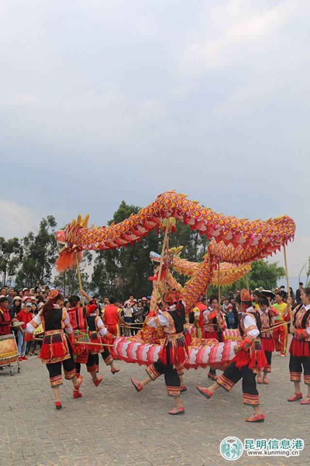 我就知道你没看过云南上演的祭龙节