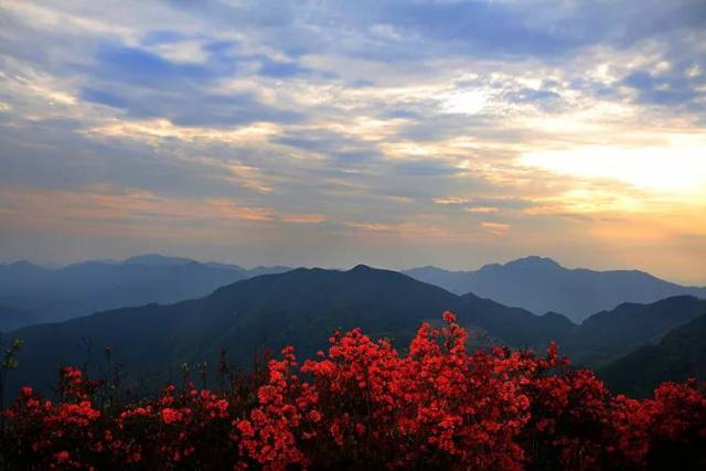 联合金鸡山:一路山花不负侬