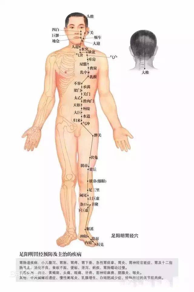 【手法视频】十二经络话术手法