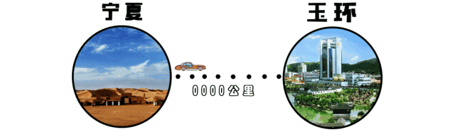 这个有点犟还热情又帅气的老板——阿超 坚持从宁夏选购正宗滩羊 让