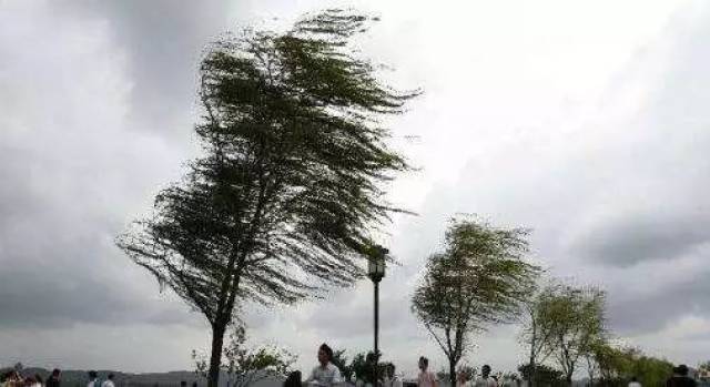 【预警】暴雨,冷空气与8级大风组团来了