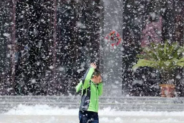 熬过了雾霾,又迎来四,五月飞雪,北京的春天又疯了