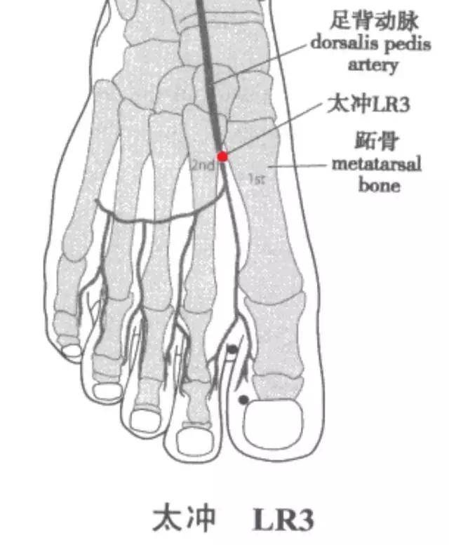 上古天真论》"女子二七天癸至,任脉通,太冲脉盛月事以时下".