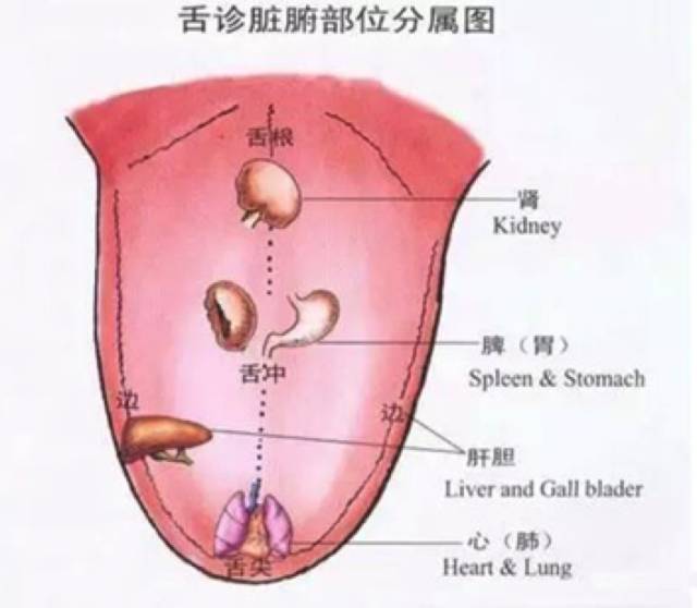 对此,法律的箴言是:过一个正常的生活.