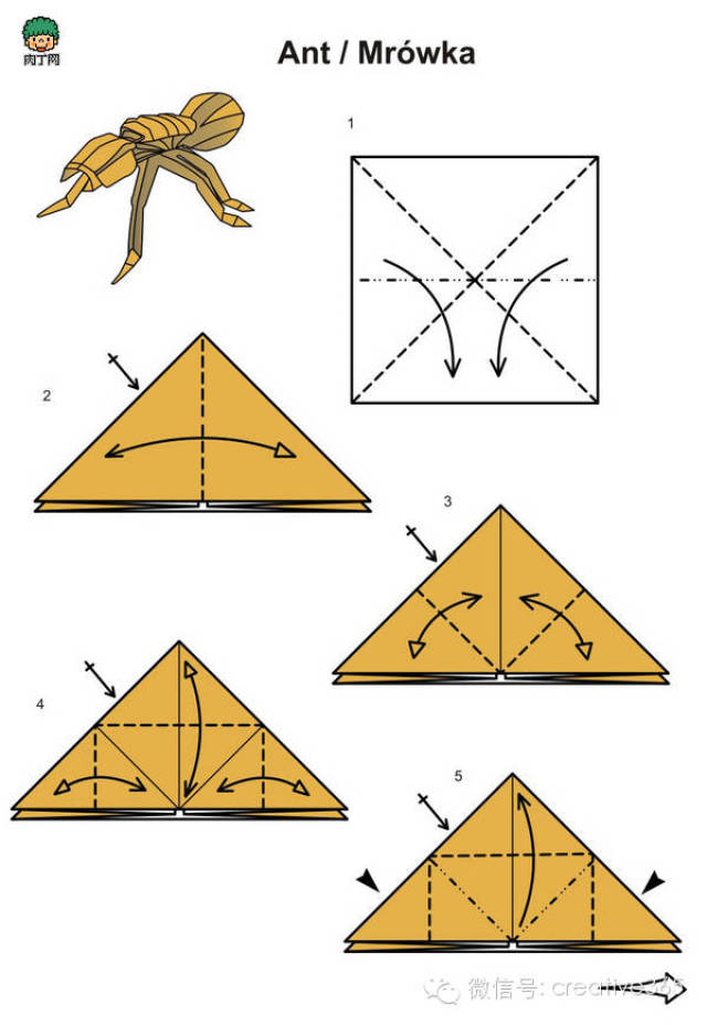 复杂昆虫折纸 diy折纸蚂蚁图解教程