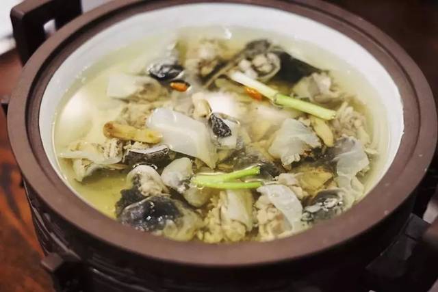 清炖甲鱼