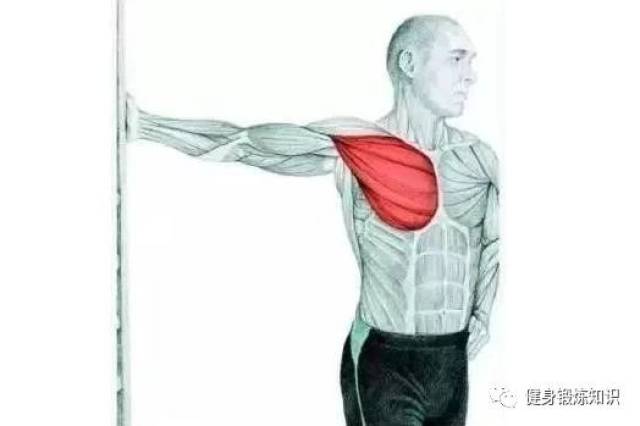 减少运动受伤拉伸必不可少一:胸部拉伸