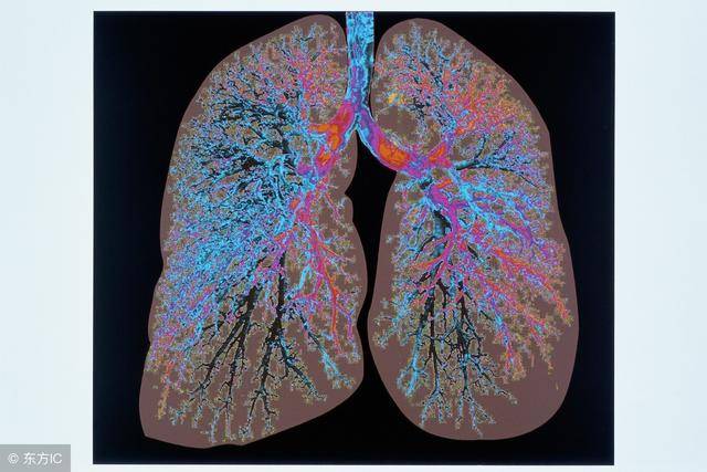 我们先来看看 慢性阻塞性肺病(copd)是成年人死亡和发病的主要原因之