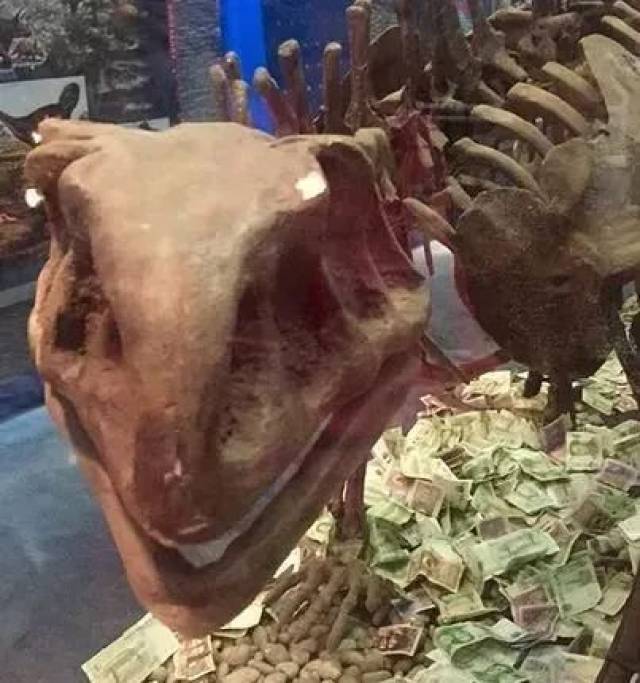 恐龙有钱 搜狐网