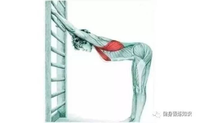 减少运动受伤拉伸必不可少一:胸部拉伸
