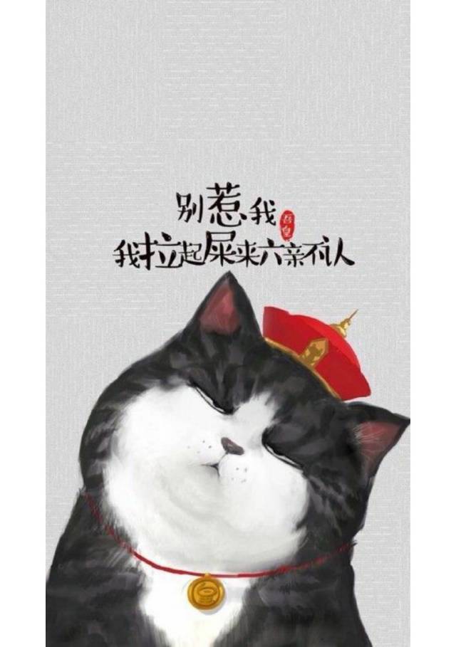 要说国内最火的猫,当属吾皇!