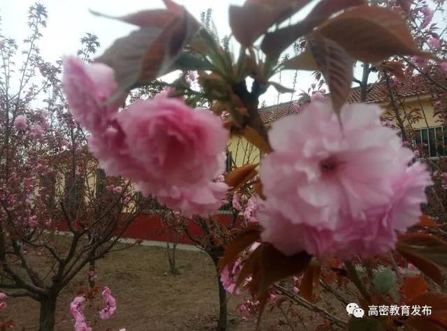 [ܽ] ȫ̬ҳϷȫŮӼ׼߽У԰