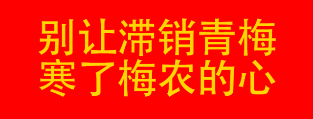 给你看个好东西!