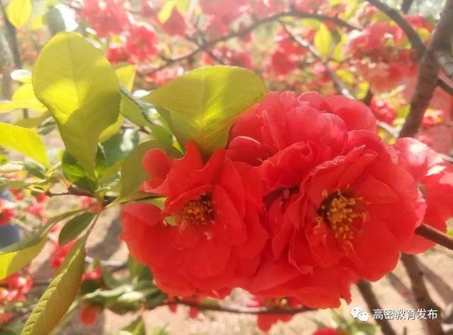 [ܽ] ȫ̬ҳϷȫŮӼ׼߽У԰