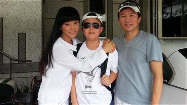"狄莺救子案"律师想认罪协商 孙安佐取消听证会