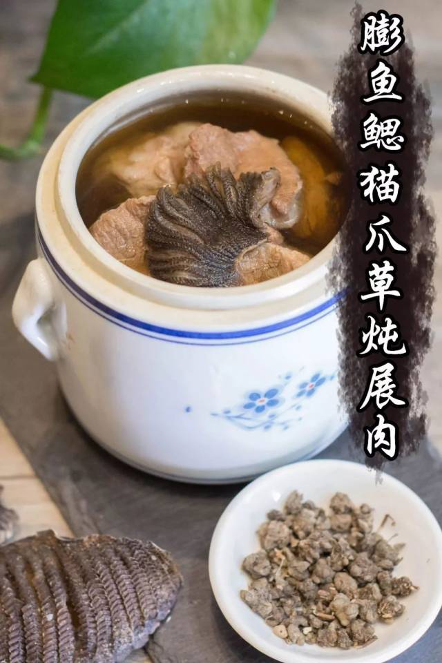 膨鱼鳃,猫爪草全都是珍贵既食材,清热解毒功效很好,堪称炖汤界" 灭火