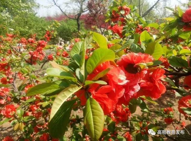 [ܽ] ȫ̬ҳϷȫŮӼ׼߽У԰