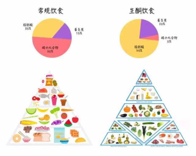 【减脂故事】生酮饮食真的能减肥吗?