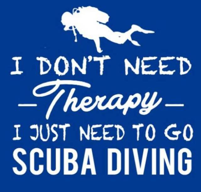 i don"t need therapy i just need to go scuba diving 我放弃治疗