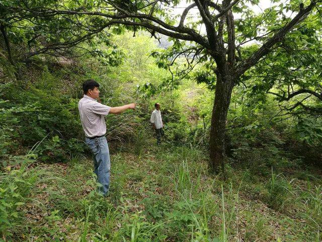 亩,完成朱安线沿线征迁,同时扎实推进村庄环境整治,朱峰口农居点建设