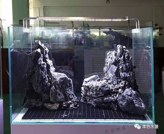 本色水景-开一只不算小的小草缸,放办公桌妥妥滴,水族造景鱼缸造景