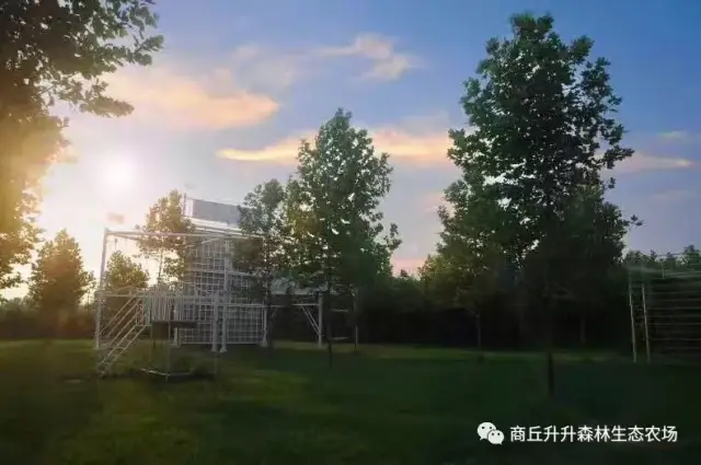 五一归田园 农场在等你 升升生态农场举办首届篝火音乐狂欢节