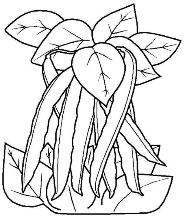 60 水果蔬菜简笔画→收藏_手机搜狐网