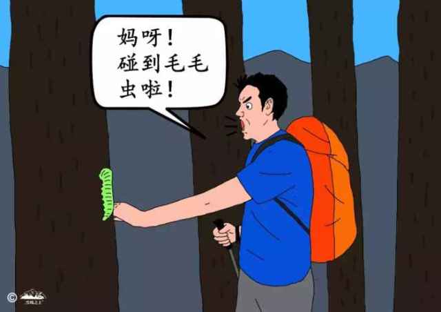 或者不小心被虫子咬到,你可能会惊慌失措,更会担忧不已,害怕这些虫子