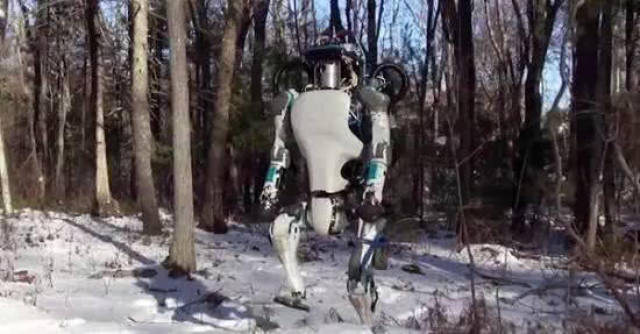 全球最先进的仿真机器人,中国只有一家公司入