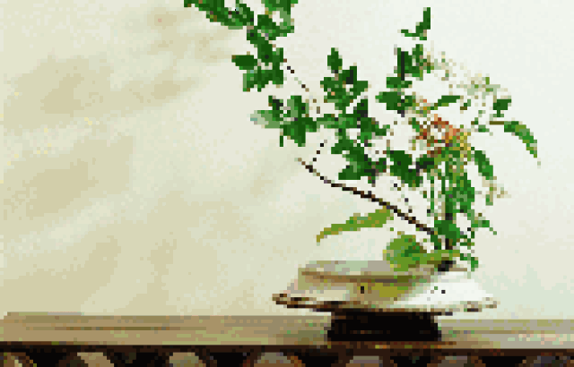 南山讲堂 | 春妍丽色·中国插花艺术与生活之美