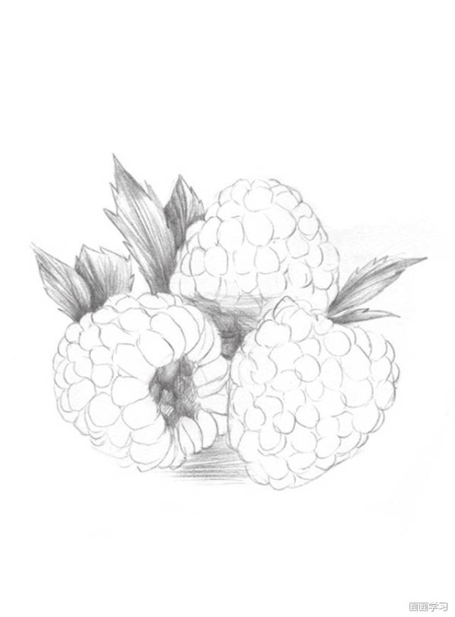 零基础素描入门步骤画|素描画入门教程