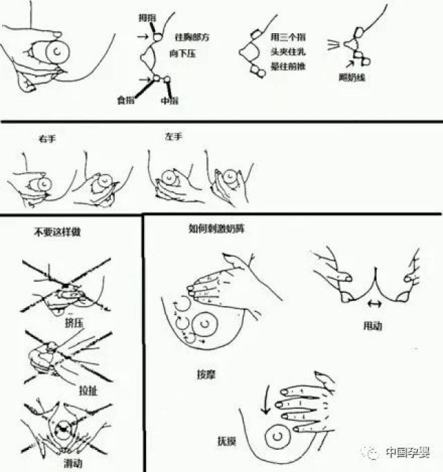 产后挤奶,用对方法是关键!