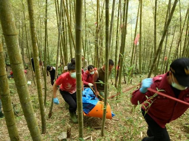 台湾一老伯上山砍树,大树倒下被压死