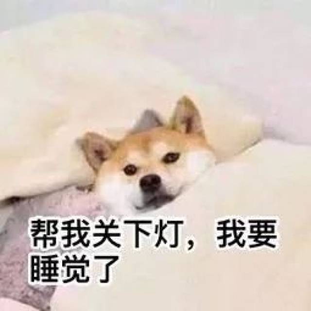 为什么天天喊困晚上却又不肯睡觉?—本意文化