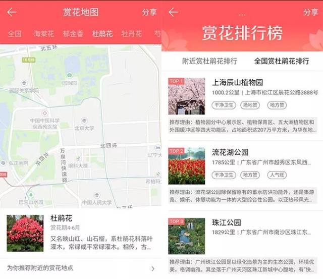 大家可以在腾讯地图app中通过赏花地图查看到 花的品种介绍,附近赏花