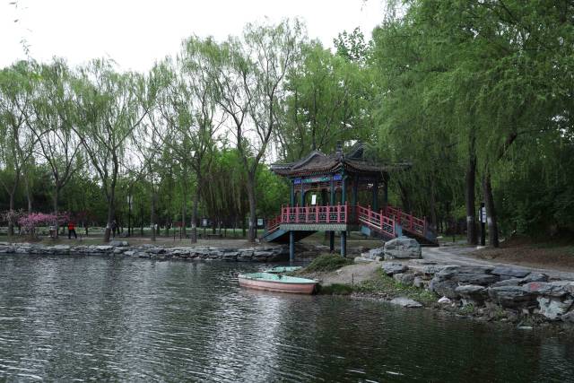 坦坦荡荡紧靠后湖西岸,仿杭州"花港观鱼"景,是圆明园中专设的养鱼区