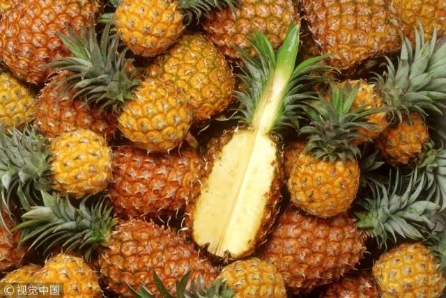 凤梨和菠萝有什么不同?教你一招吃对它!