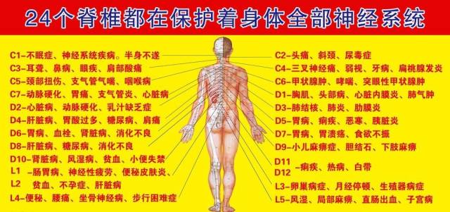 养生养护首选为什么是脊椎?看完了你就知道了