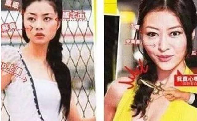 被嘲讽整容、拍三级片,甩掉天王嫂称号的她,如今却成为人生