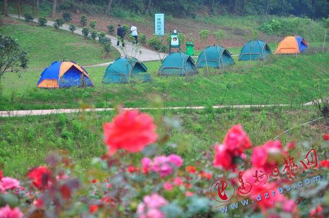 五一赏花有约吗?达川区河市成都山玫瑰谷花开正艳