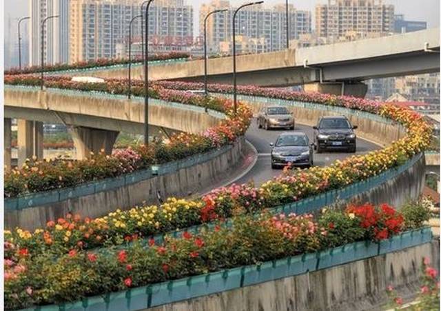 2018年高考时间确定;太原这9条公交改线,有没