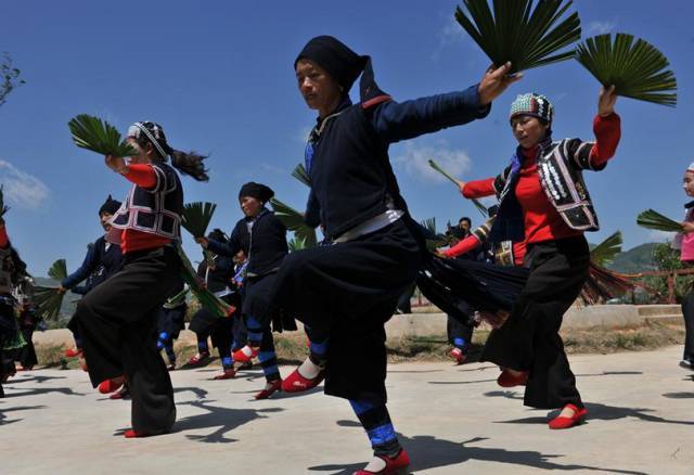 不仅有哈尼族最具代表的棕扇舞,乐作舞,木屐舞,同尼尼,还有当地彝族最