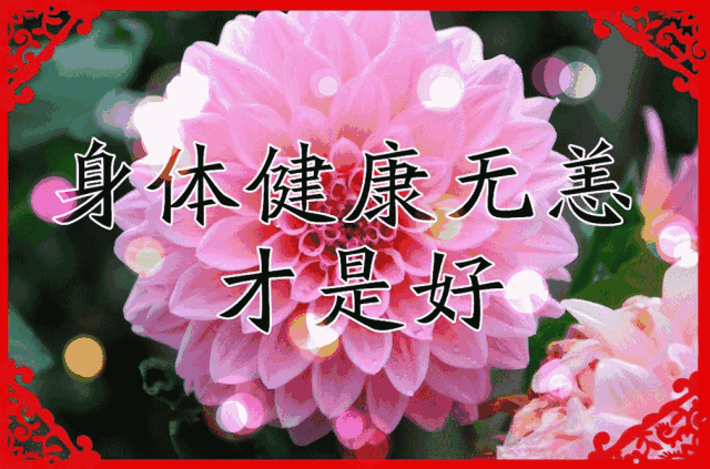 绝美瓷器开花,太美了 送给群里的朋友 祝愿群里的兄弟姐妹 健康快乐