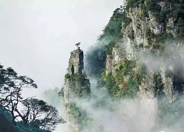 梵净山山上不仅可以看蘑菇石等地质奇观,春季还可以看万亩高山杜鹃