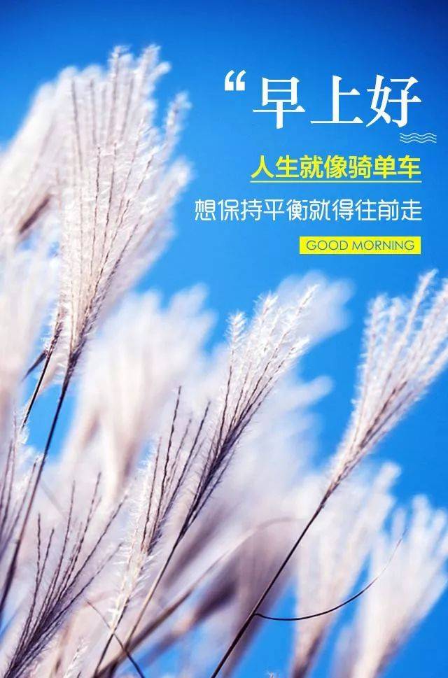 女人正能量早安心语 句句说到心坎