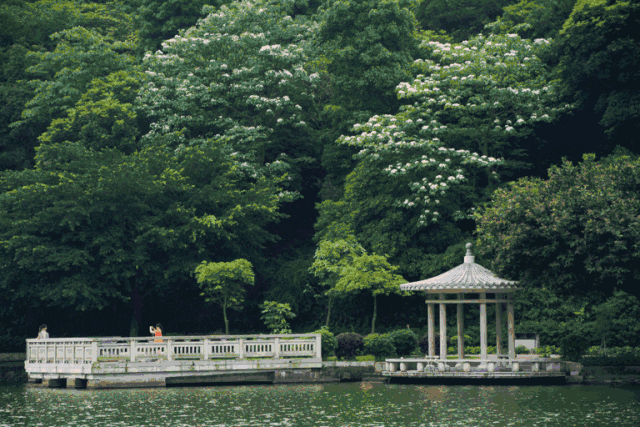 门票含南海观音,宝峰寺,天湖公园,白云洞,碧玉洞等景点.